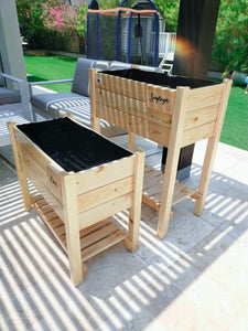 Planter Box Basil - for kids and adults