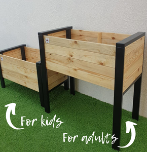 Planter Box Lavender - for kids and adults