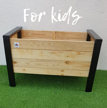 Planter Box Lavender - for kids and adults