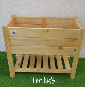 Planter Box Basil - for kids and adults